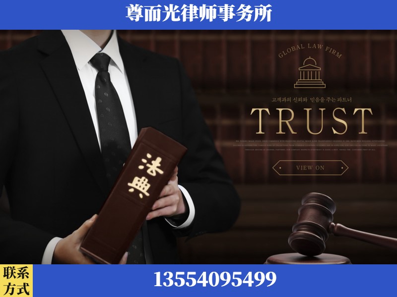 芦淞-劳动仲裁律师