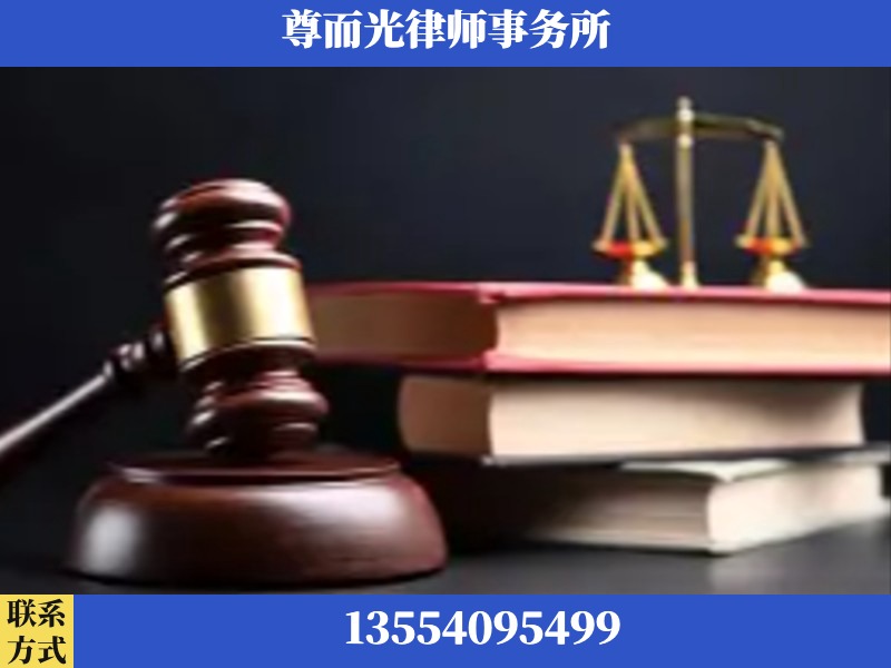芦淞-刑事案件律师