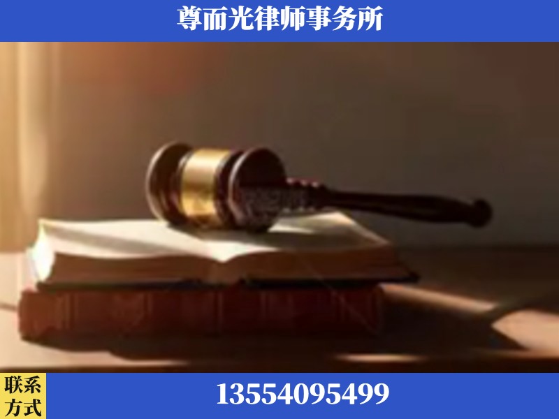 芦淞-刑事辩护律师