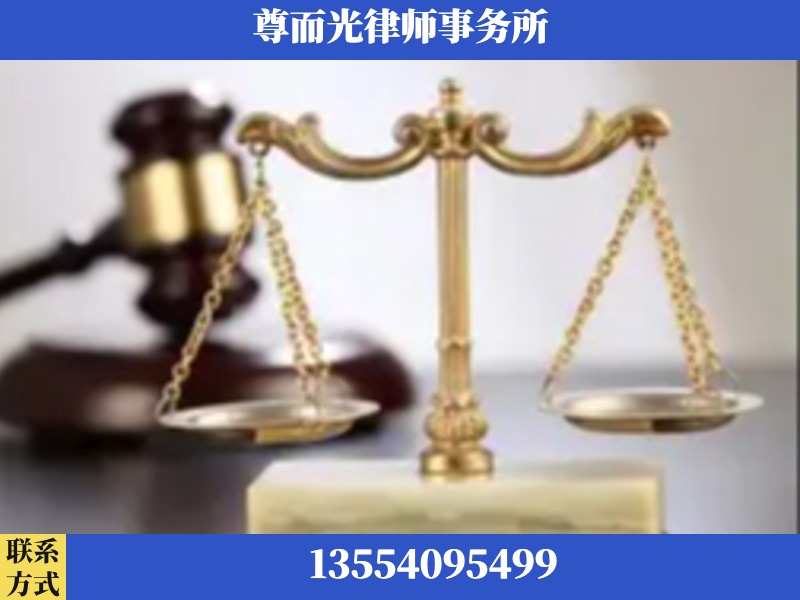 芦淞-劳动纠纷律师