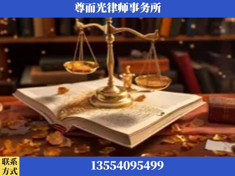 芦淞-刑事诉讼律师